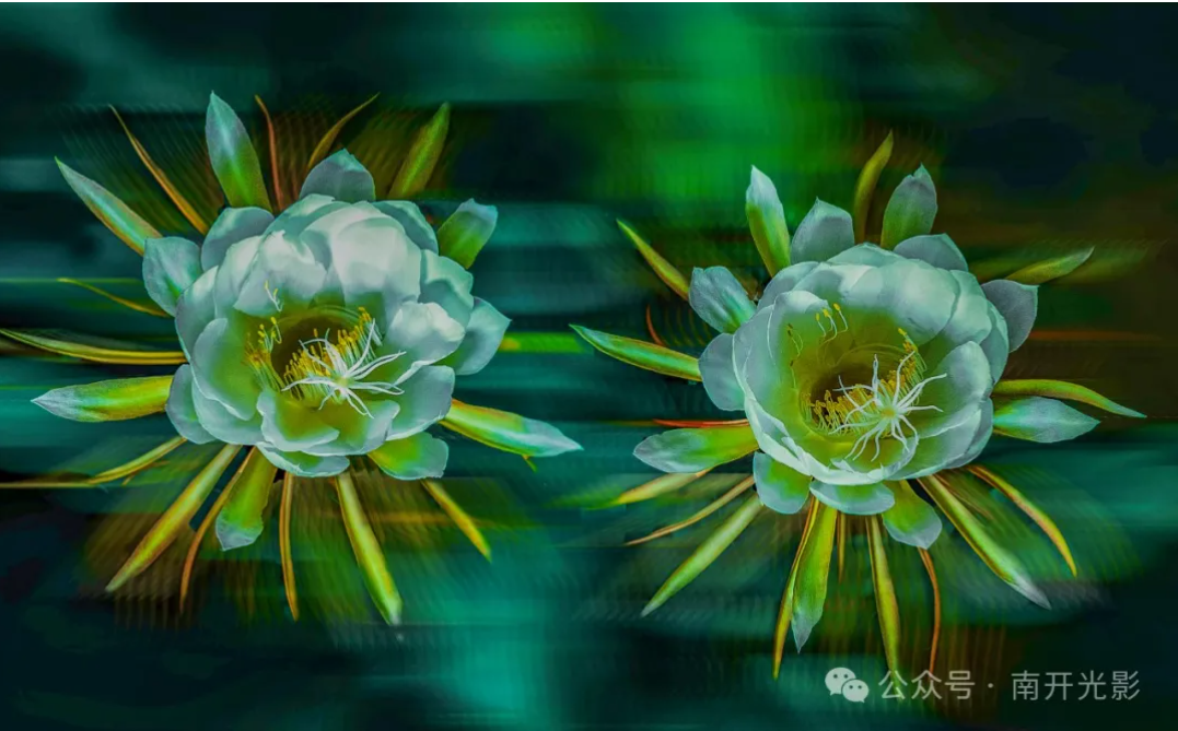 屏幕截图 2024-12-16 111716.png